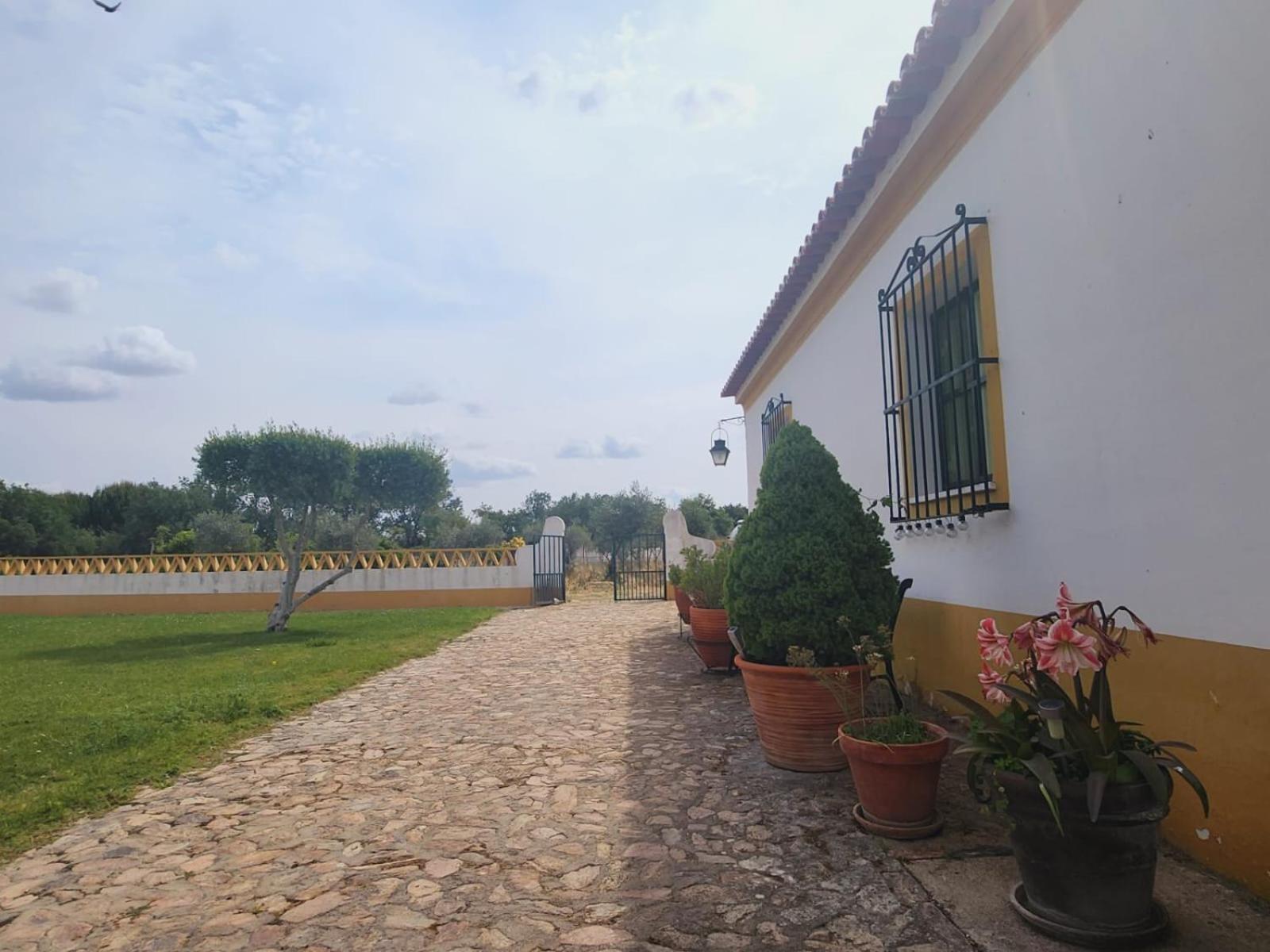 Montinho Do Palanque Villa Виана до Алентежо Екстериор снимка