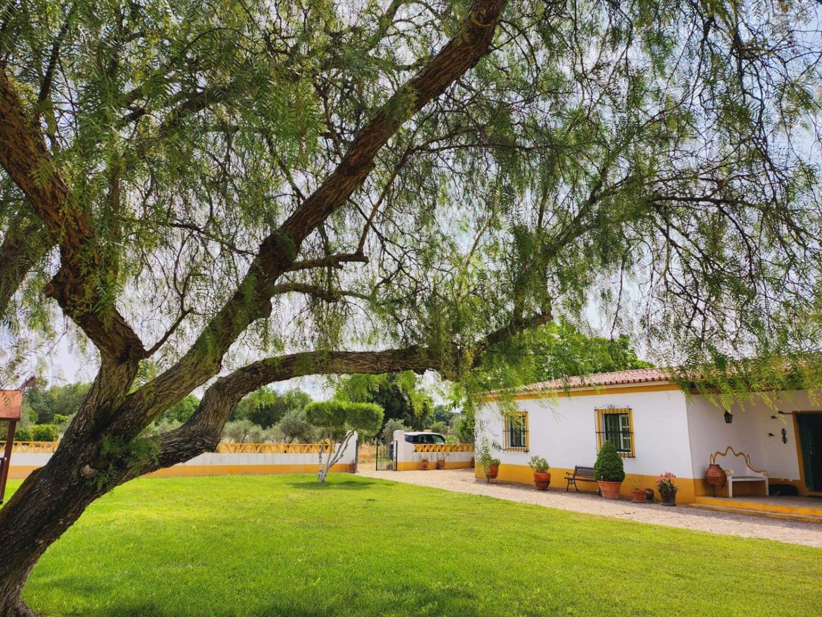 Montinho Do Palanque Villa Виана до Алентежо Екстериор снимка