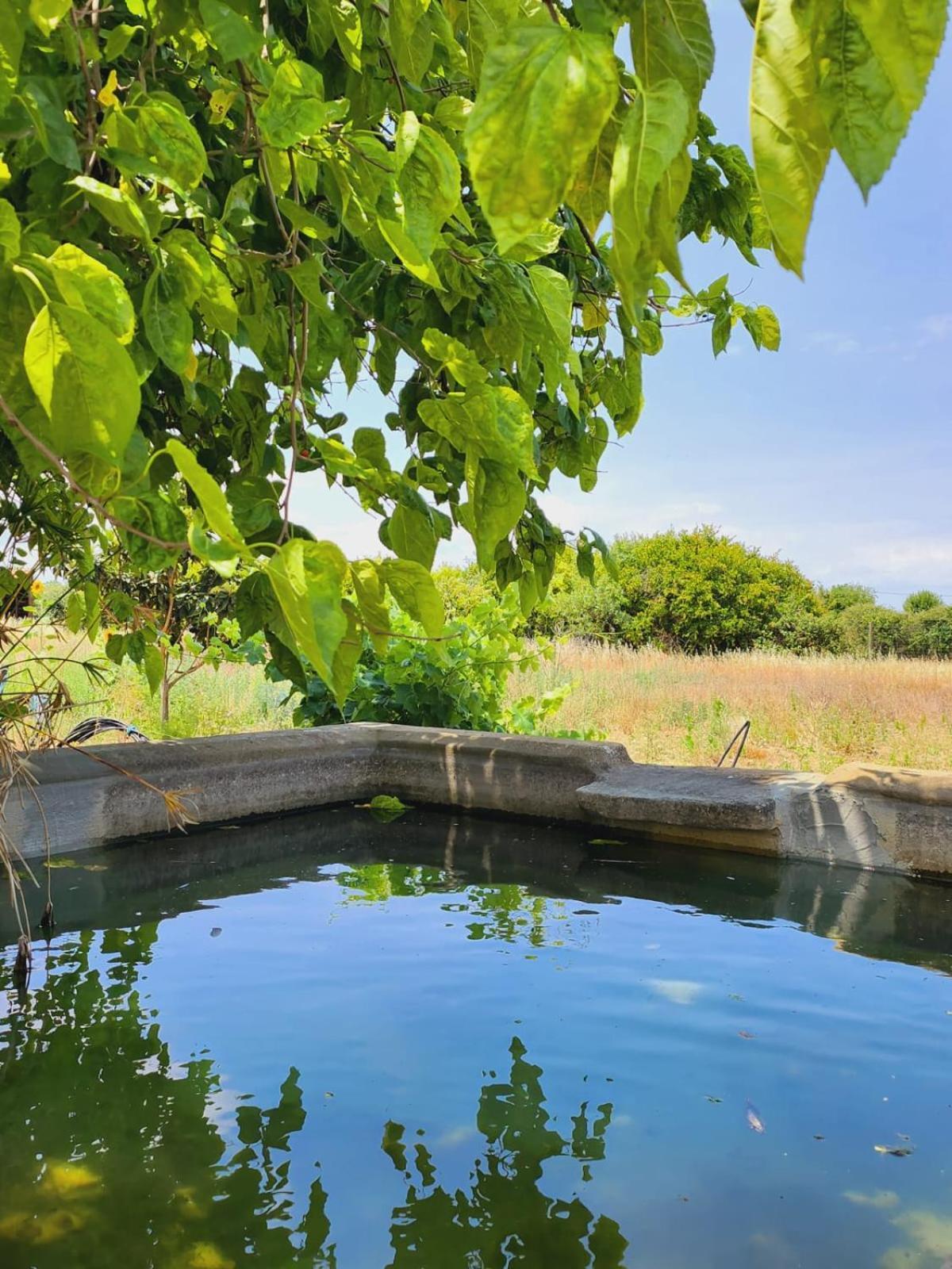 Montinho Do Palanque Villa Виана до Алентежо Екстериор снимка