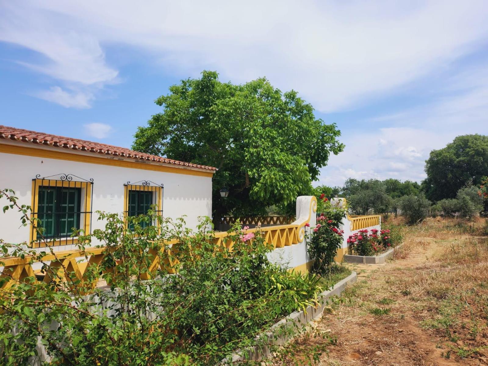 Montinho Do Palanque Villa Виана до Алентежо Екстериор снимка